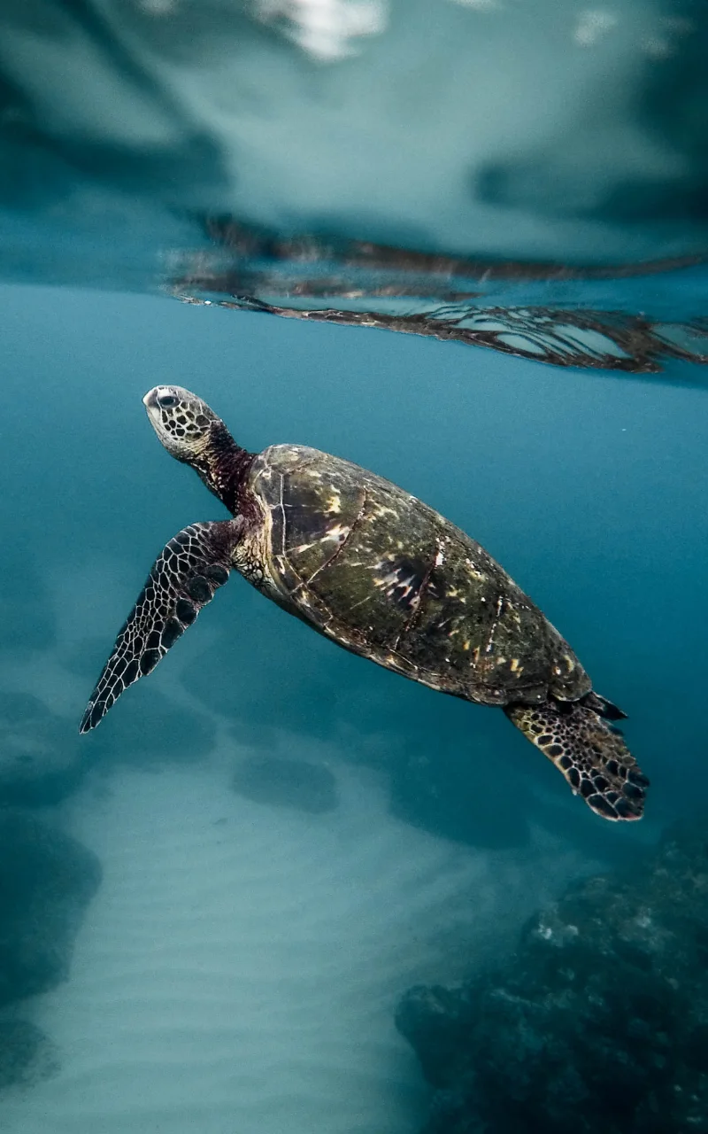 B2B-marketing in 2026: wat verandert er werkelijk en wat niet